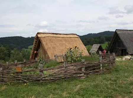 Tamara In