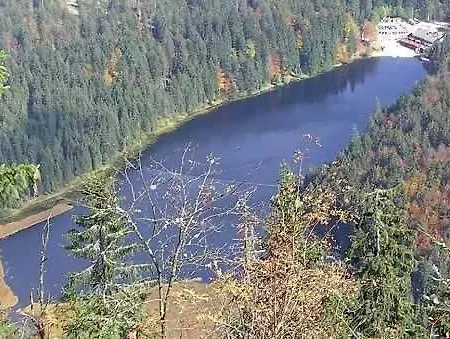 Tamara In Eppenschlag